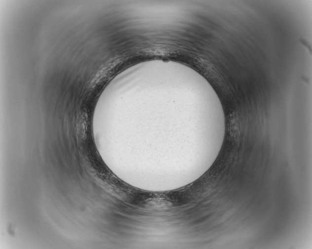X0000101650544200807311415