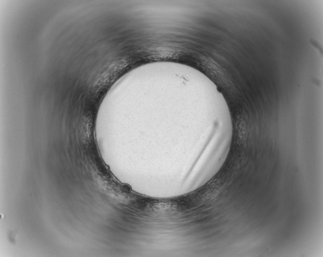X0000101650546200807311415