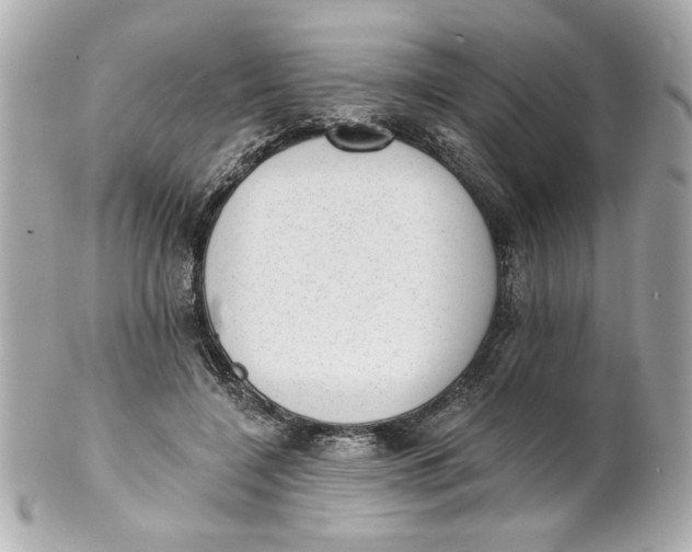 X0000101650548200807311415