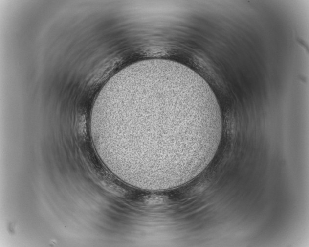X0000101650549200807311415