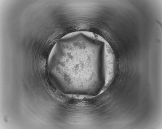 X0000101650550200807311415