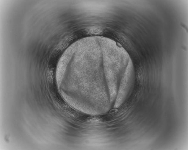 X0000101650551200807311415