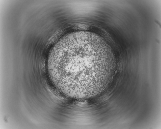 X0000101650552200807311415
