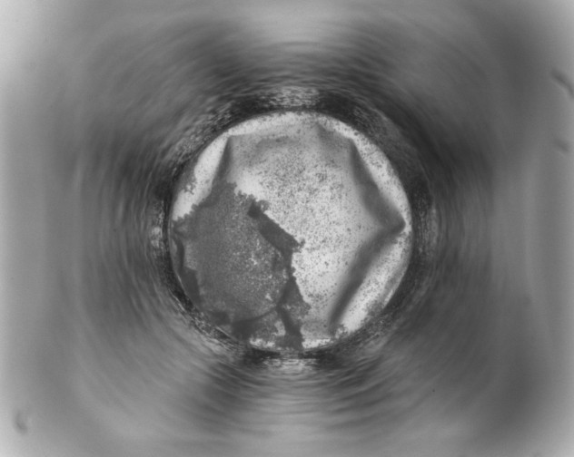 X0000101650553200807311415