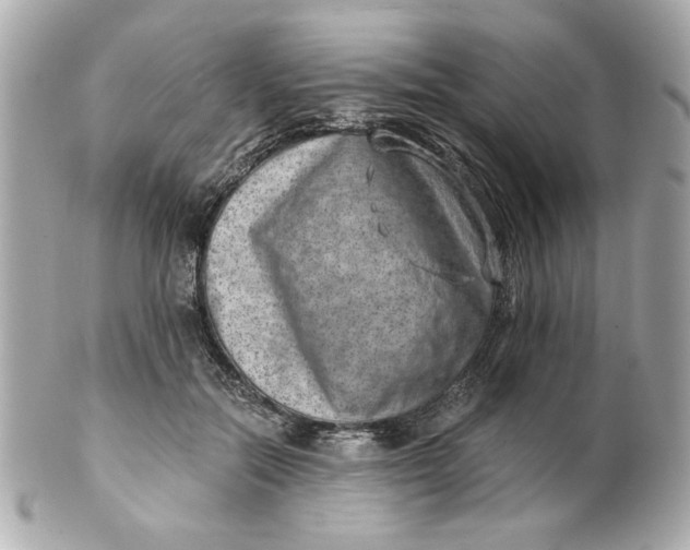 X0000101650554200807311415