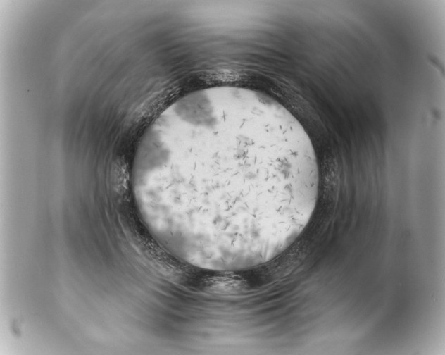 X0000101650555200807311416