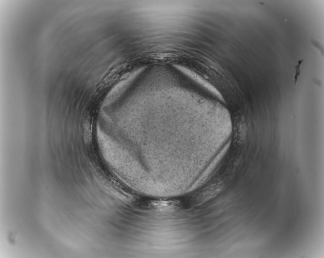 X0000101650558200807311416