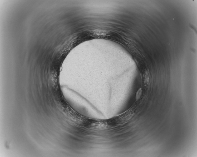 X0000101650559200807311416