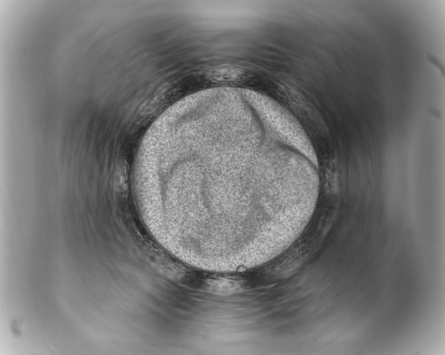 X0000101650561200807311416