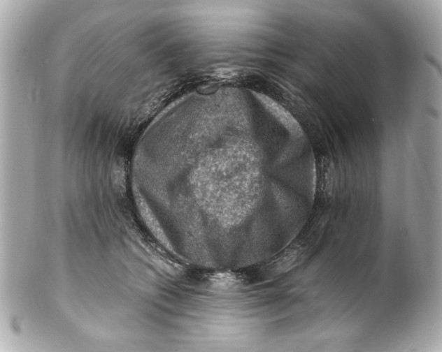 X0000101650562200807311416