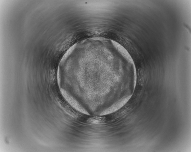 X0000101650563200807311416