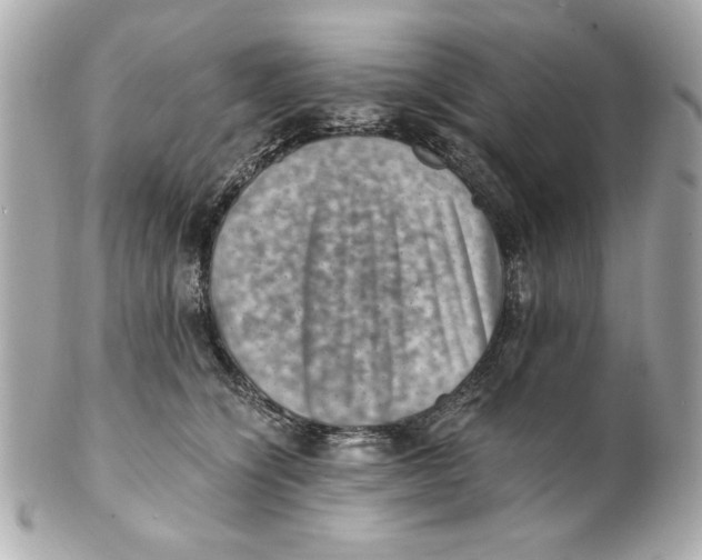 X0000101650564200807311416