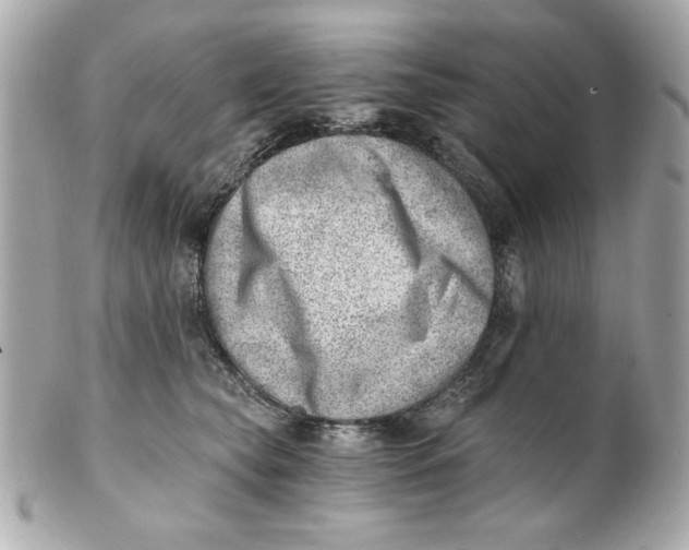 X0000101650565200807311416