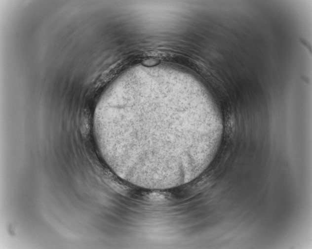 X0000101650566200807311416