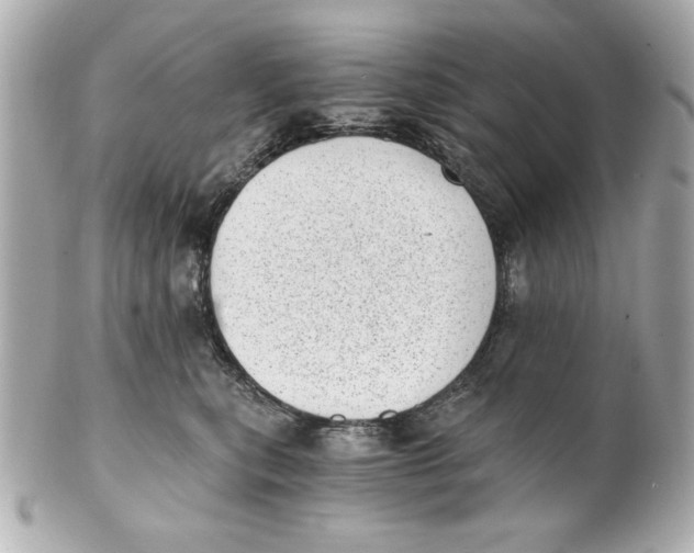 X0000101650567200807311416