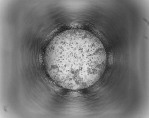 X0000101650569200807311416