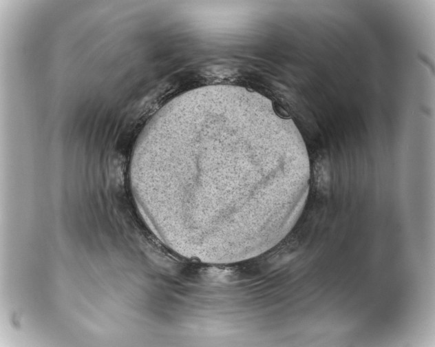X0000101650570200807311416