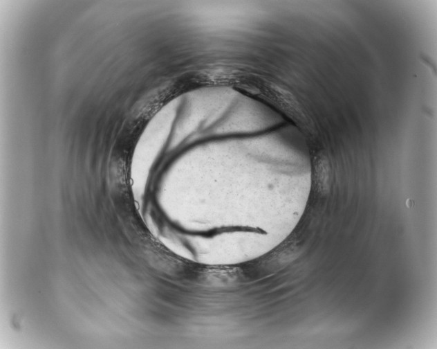 X0000101650571200807311416