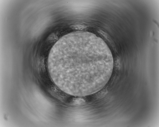 X0000101650572200807311416