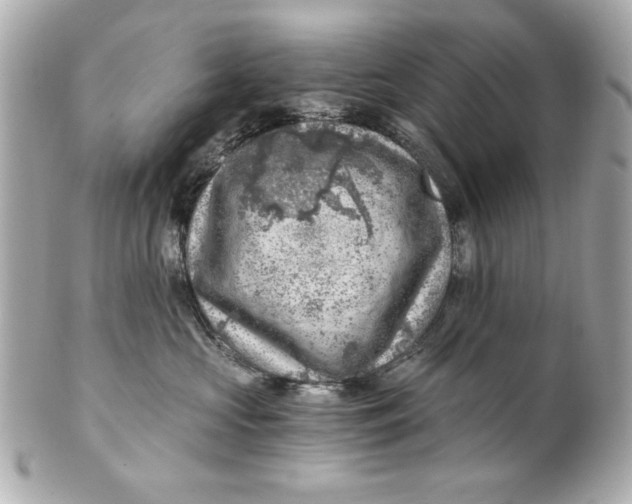 X0000101650573200807311416