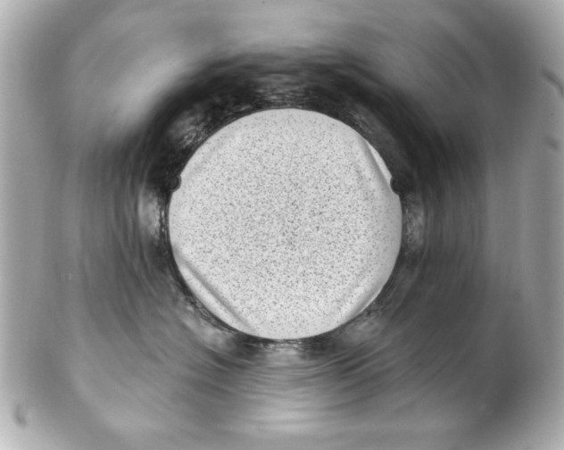X0000101650574200807311416