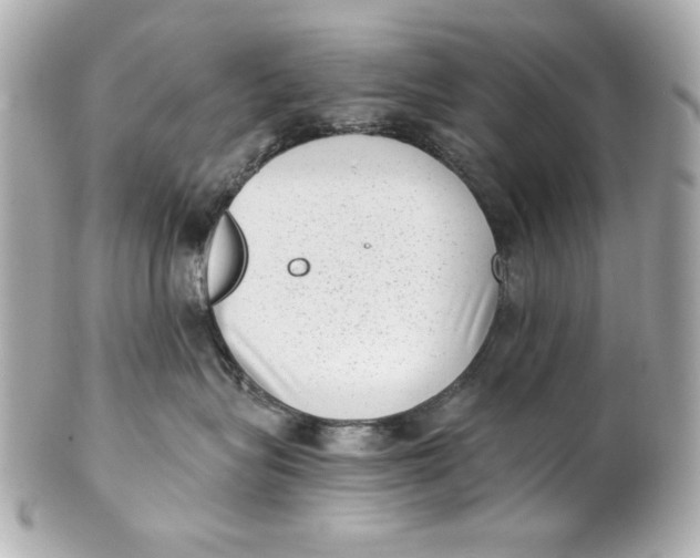 X0000101650575200807311416