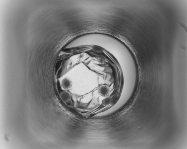 X0000101650577200807311415