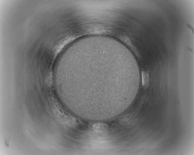 X0000101650579200807311415