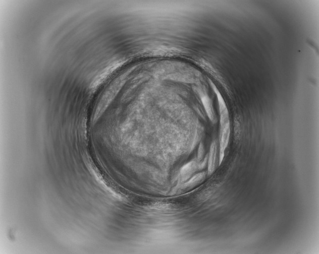 X0000101650581200807311415