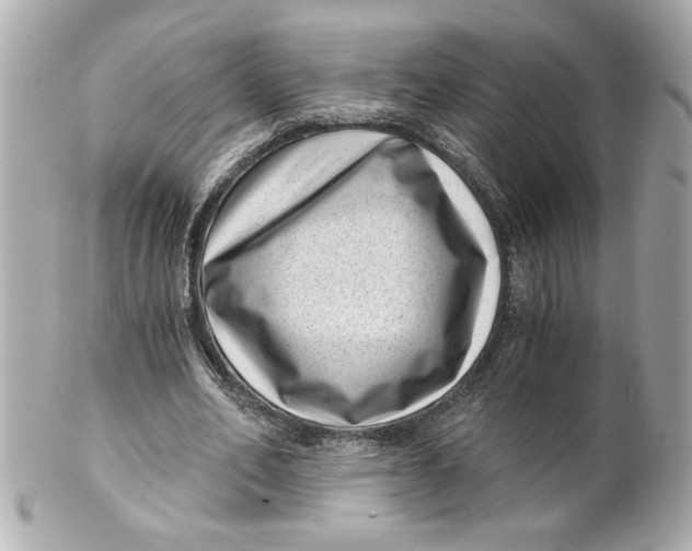 X0000101650582200807311415