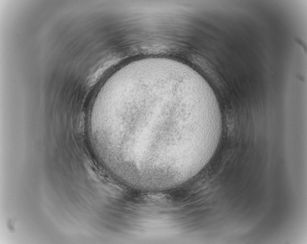 X0000101650583200807311415