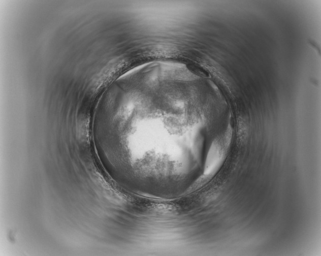 X0000101650585200807311415