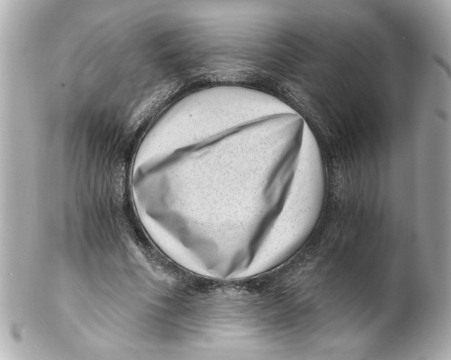 X0000101650586200807311415