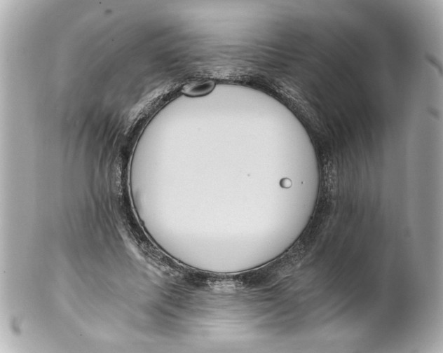 X0000101650587200807311415