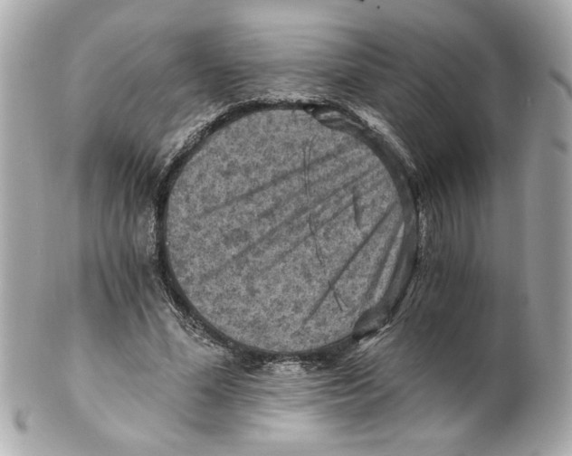 X0000101650588200807311415