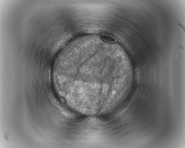 X0000101650589200807311415