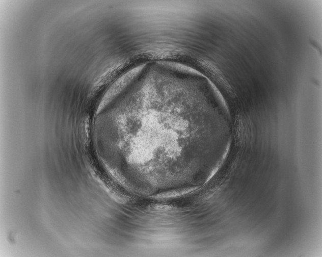 X0000101650590200807311415