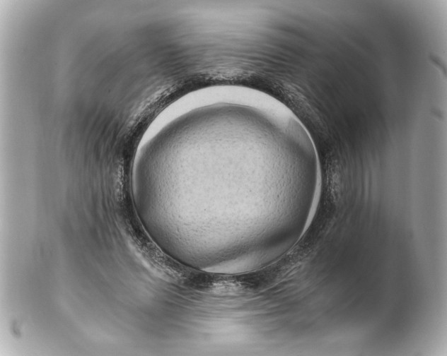 X0000101650591200807311415
