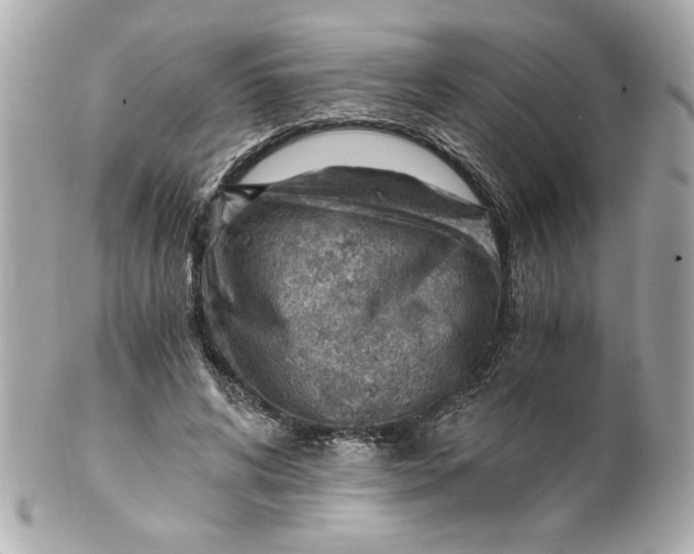 X0000101650592200807311415