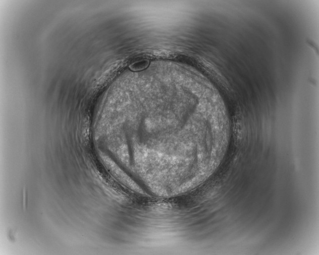 X0000101650593200807311415