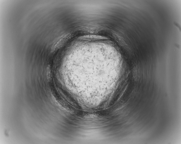 X0000101650594200807311415
