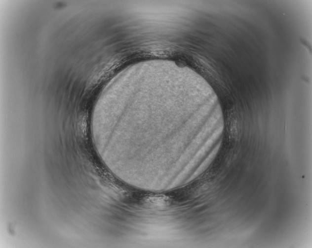 X0000101650595200807311415