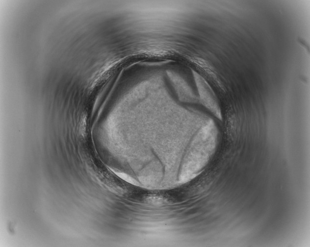 X0000101650596200807311415