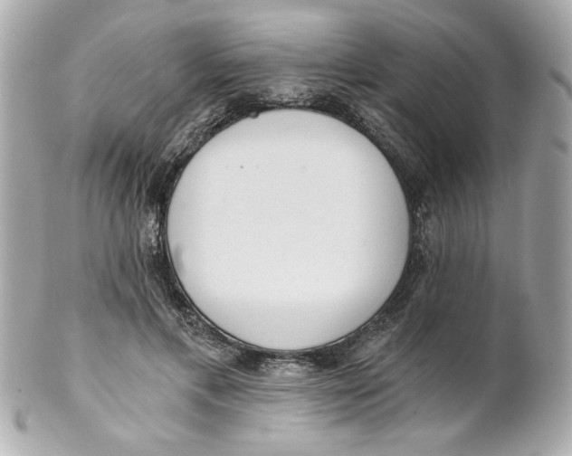 X0000101650597200807311415