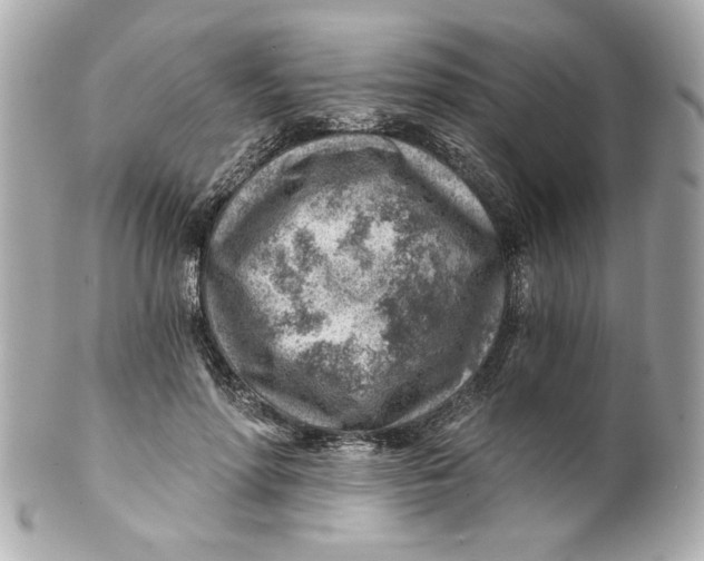 X0000101650598200807311415