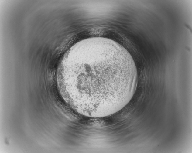 X0000101650601200807311415