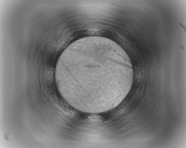 X0000101650603200807311415