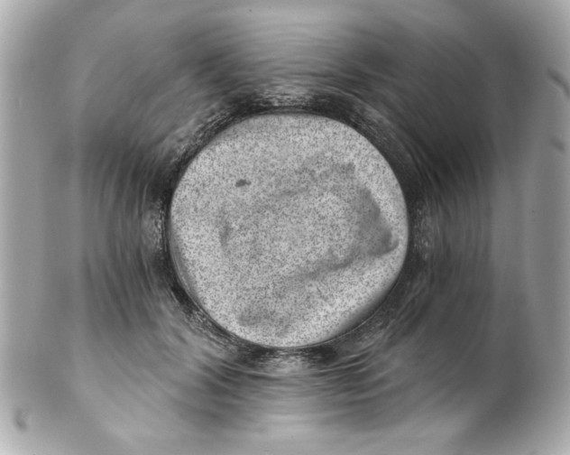 X0000101650604200807311415