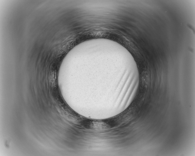 X0000101650605200807311415