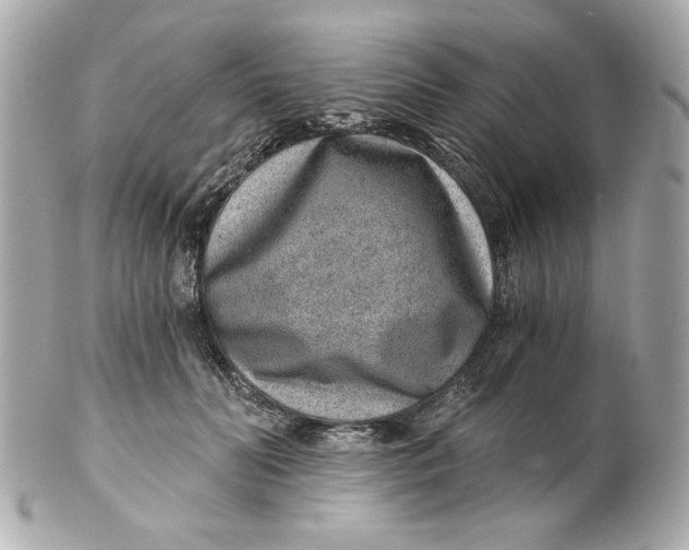 X0000101650606200807311415